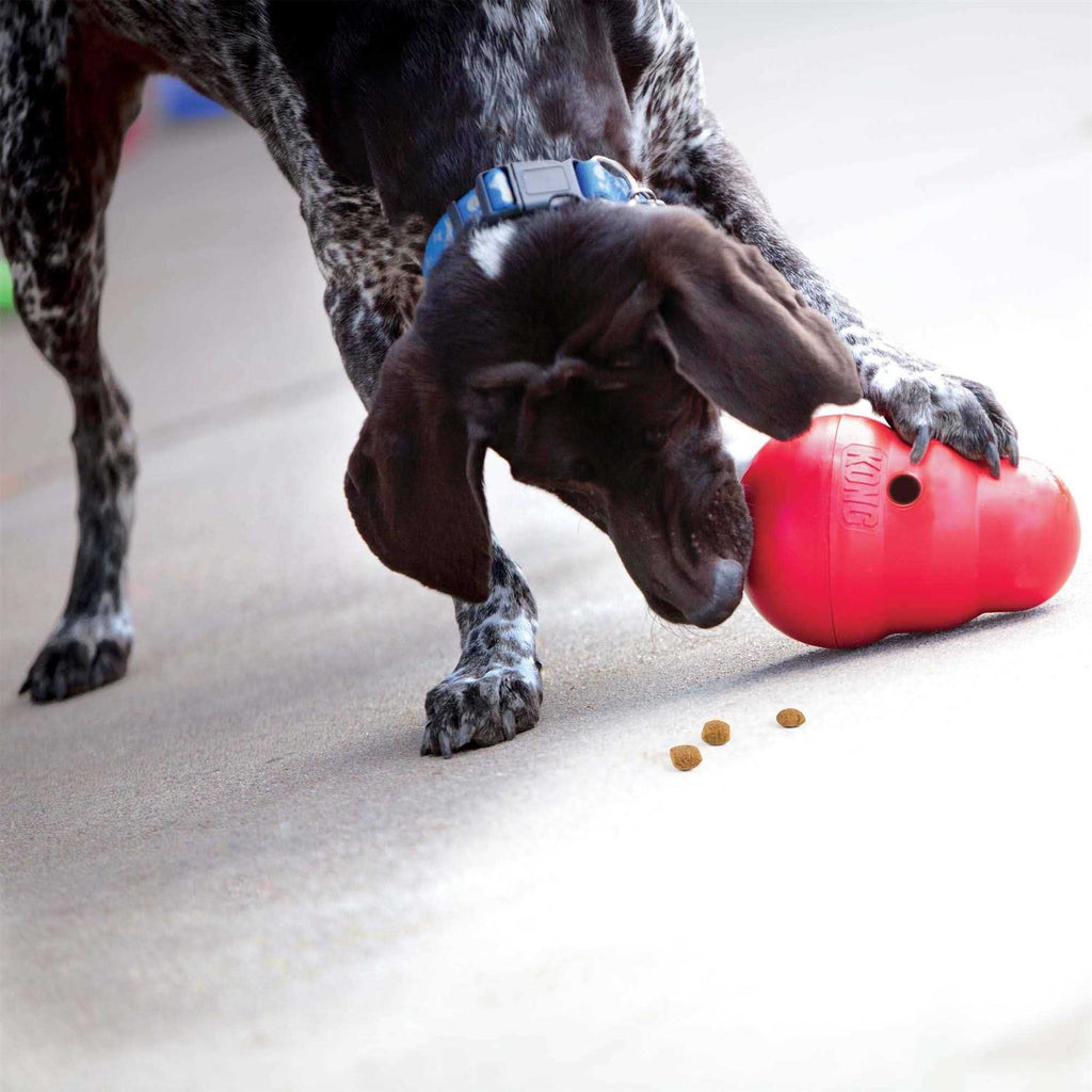 Wobbler Dog Toy B4299