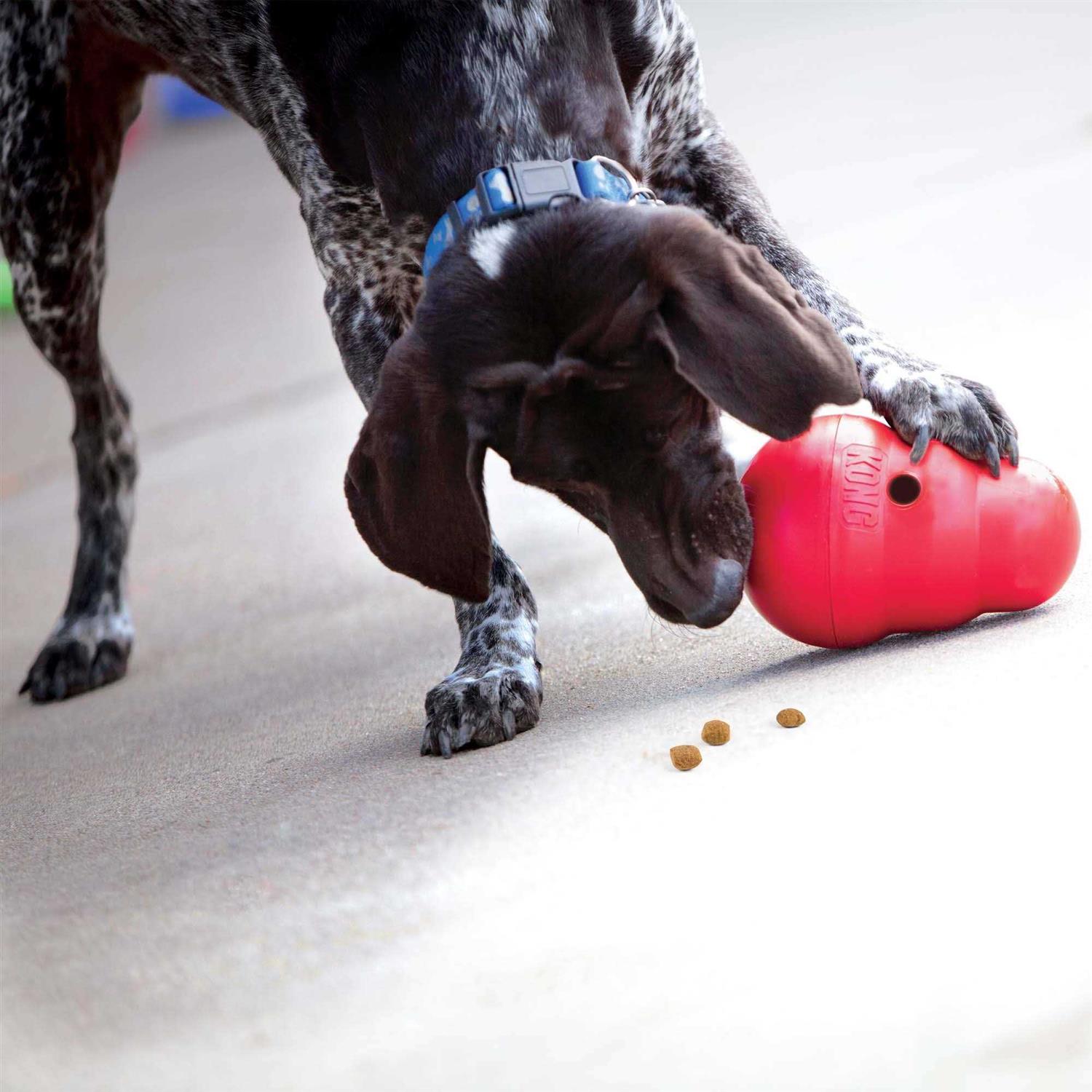 Wobbler Dog Toy B4299