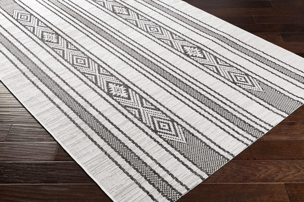 Outdoor Area Rug 5x7 Non Shedding Indoor/Outdoor Carpet for Patio, Porch, Deck, Bedroom, Living Room or Kitchen Q835
