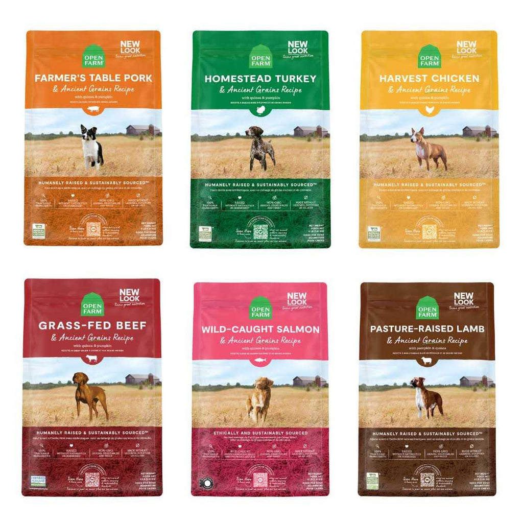 Ancient Grains Dry Dog Food M93574