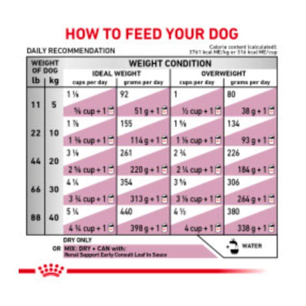 Veterinary Diet Canine Renal Support Dry Dog Food O737