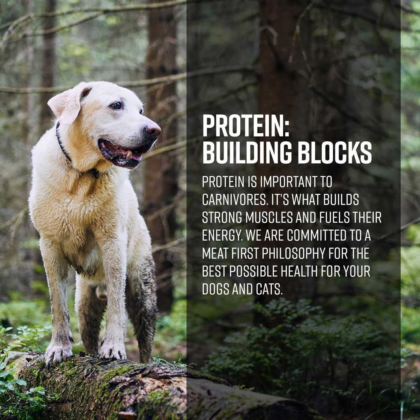 Gamefowl Dog Dry Food Z5522