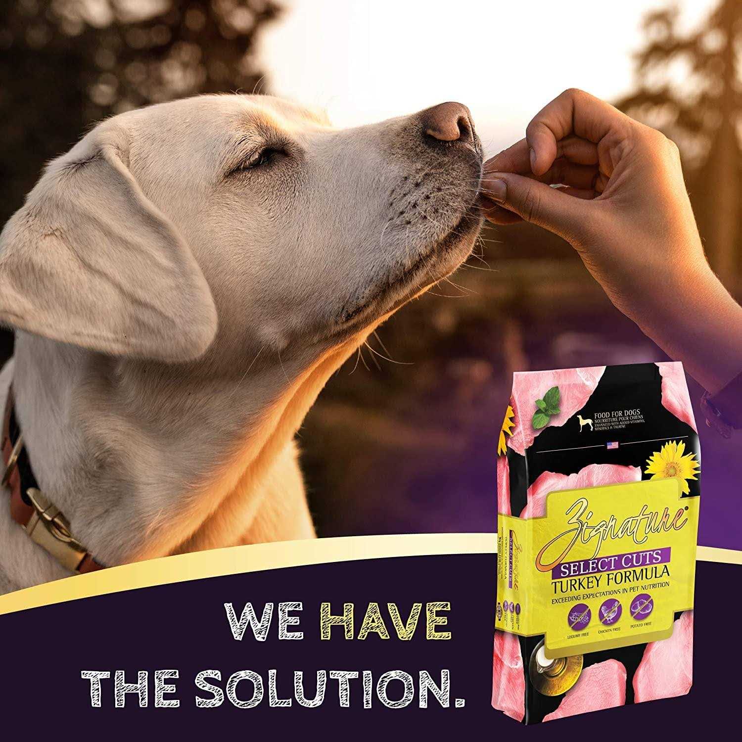 Turkey Formula Dry Dog Food O8122