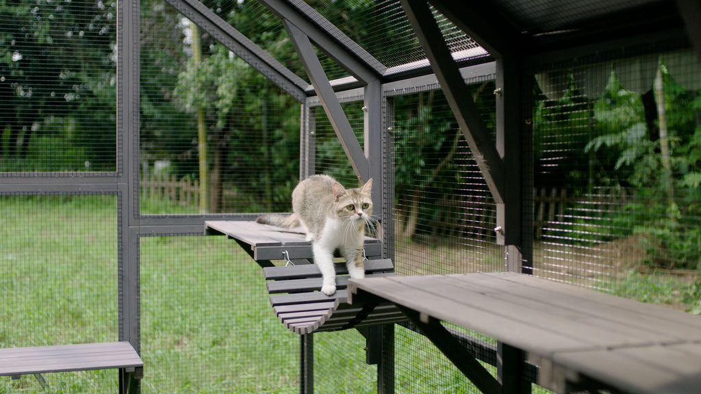 Outdoor Walk-in Catio Enclosure with Bridges and Platforms Y970