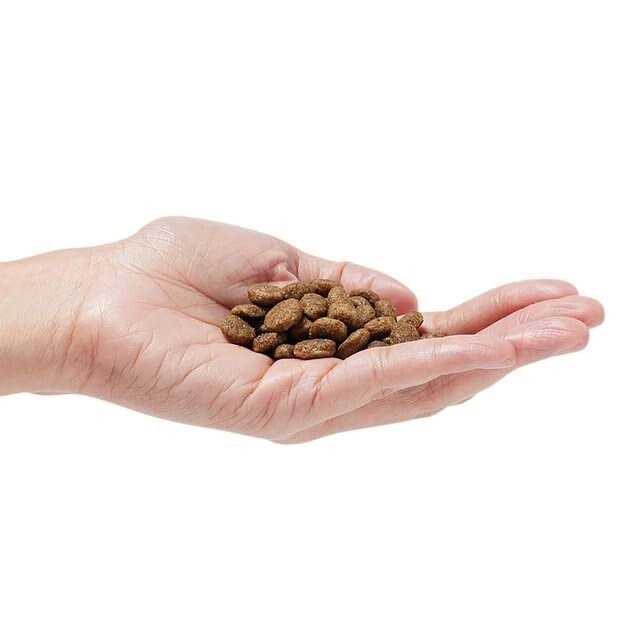 Grain-Free Dog Food D3206