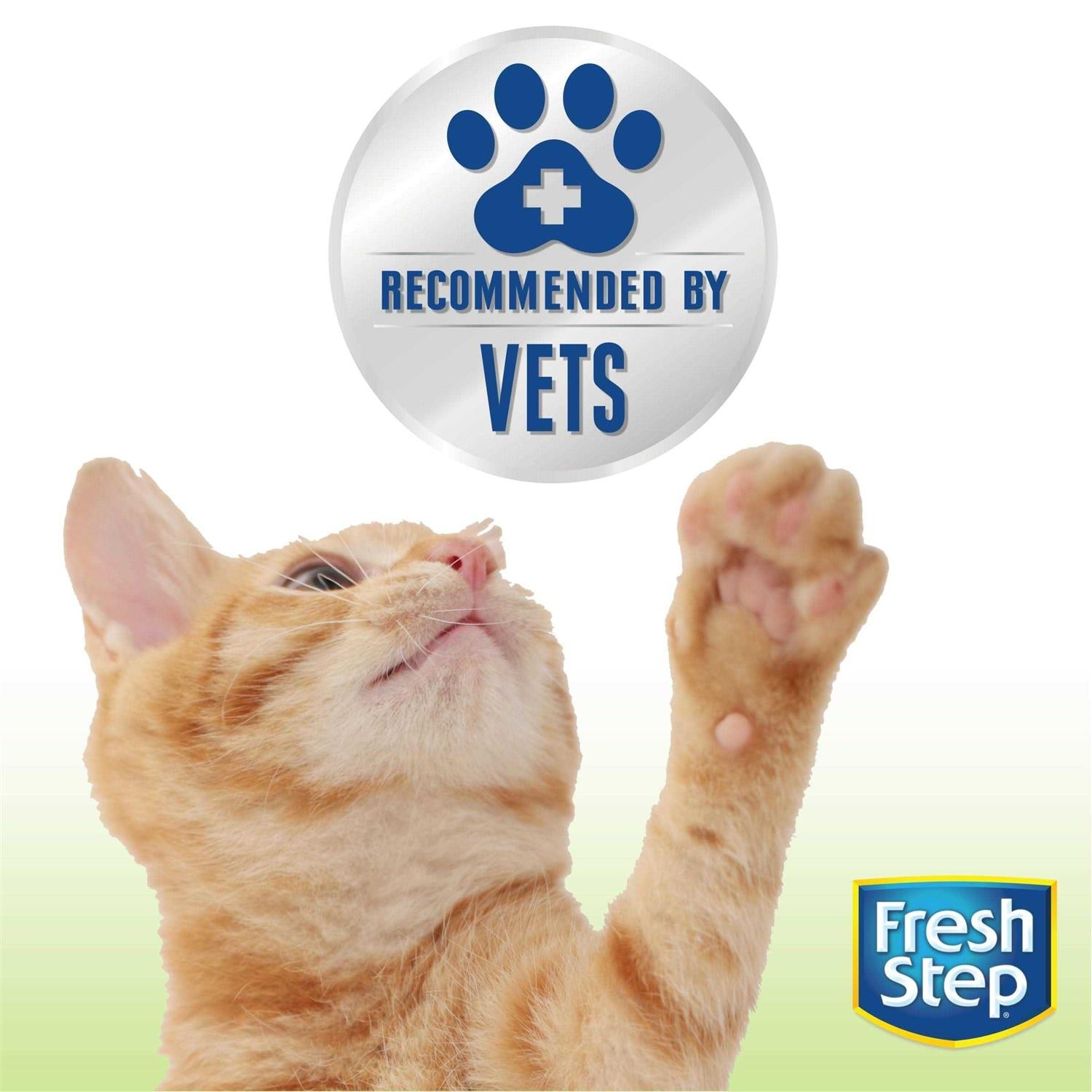 Unscented Clumping Cat Litter Y9818