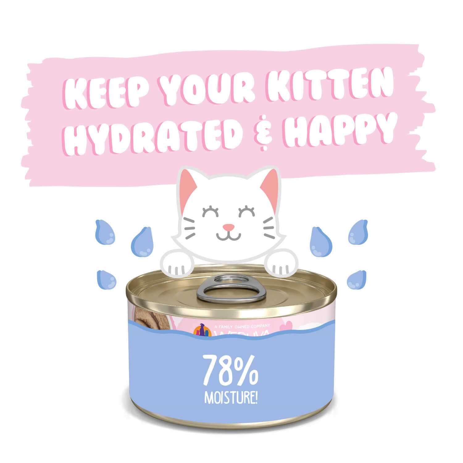 Chicken Breast in Puree Wet Cat Food Q2308