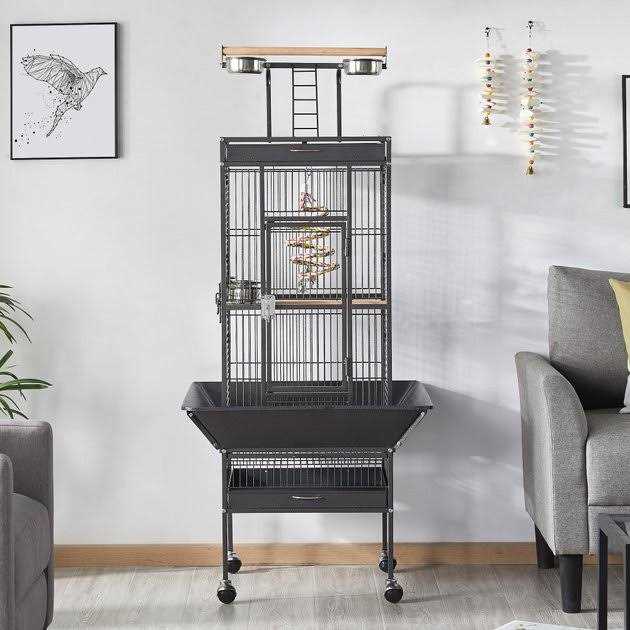 Rolling Parrot Cage with Playtop B532856