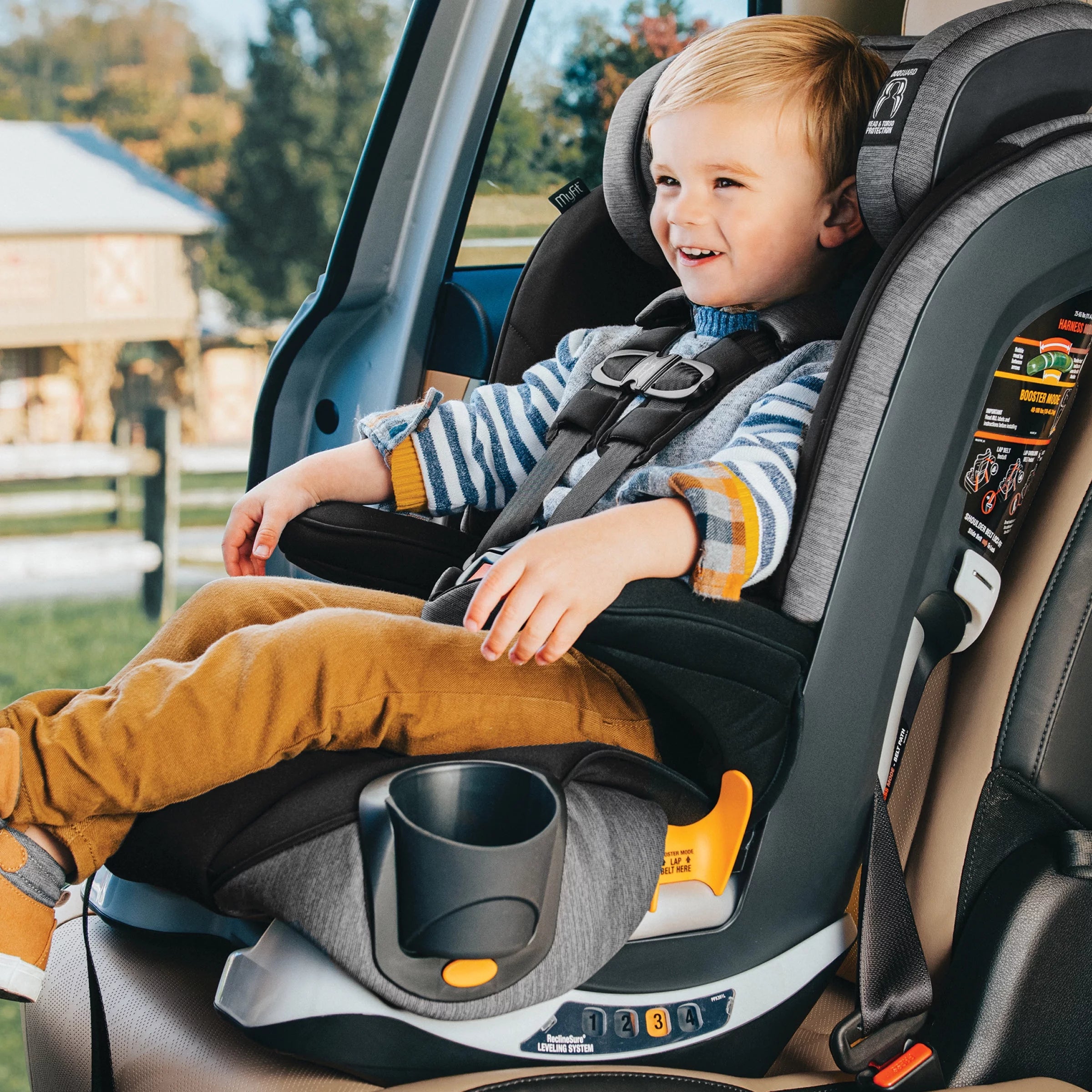 Harness + Booster Car Seat - Shadow (Black) I930260