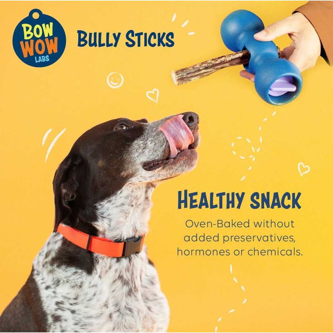 Safe Fit Bully Sticks for Dogs W48665