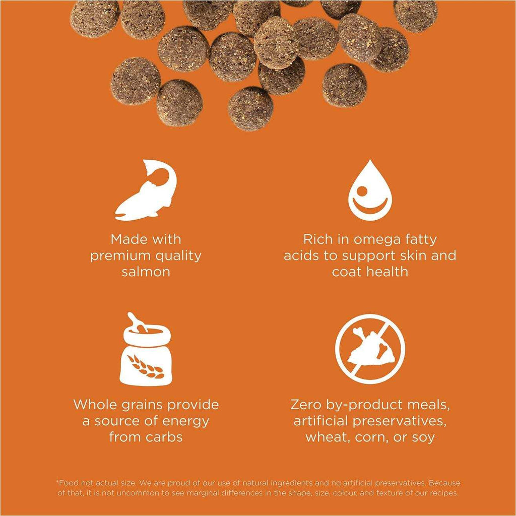 Salmon Recipe Dry Dog Food F431955