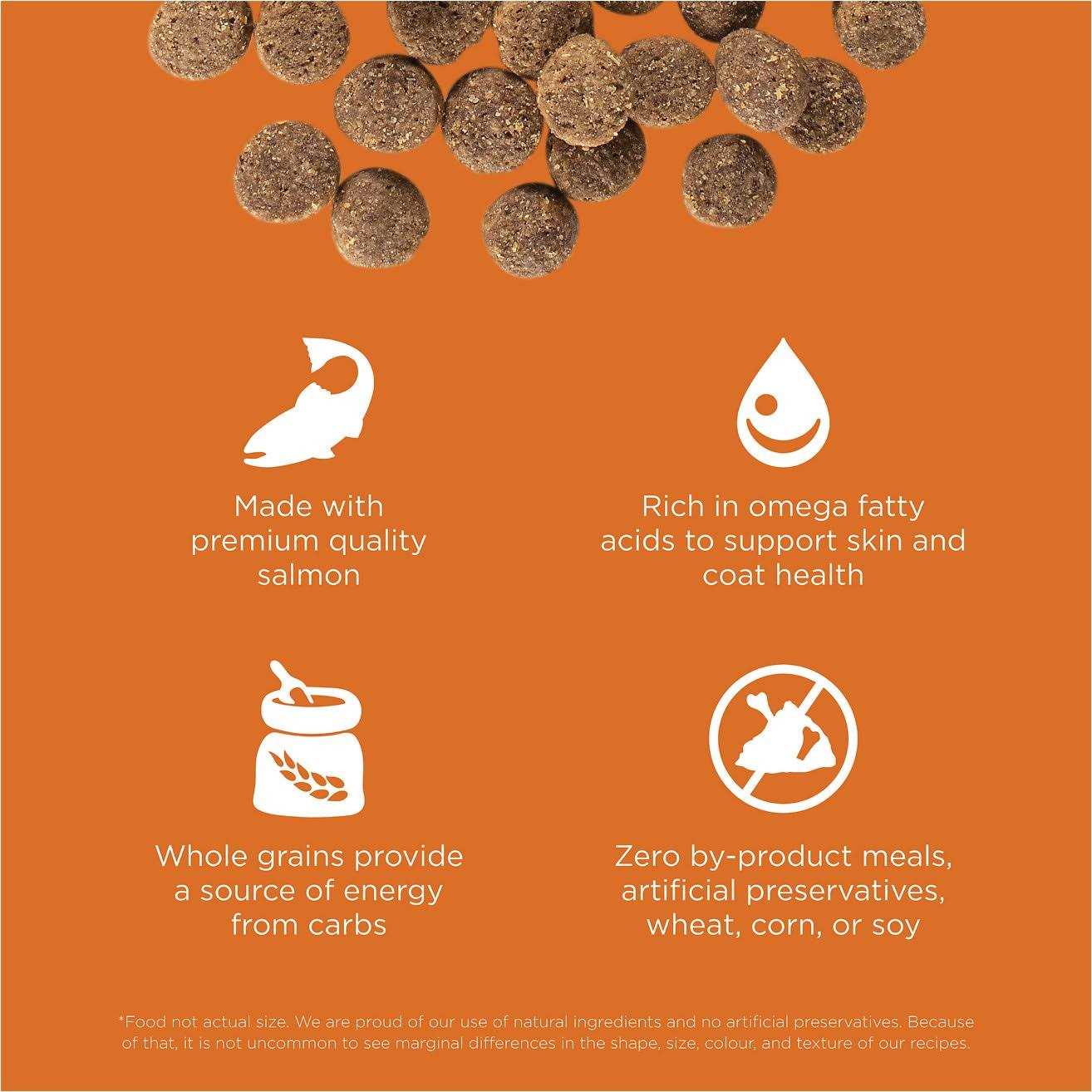 Salmon Recipe Dry Dog Food F431955