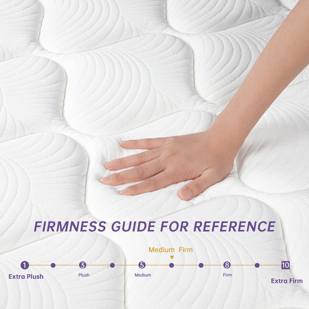 Queen Size Hybrid Mattress, 10 Inch Memory Foam Euro Top, Medium Firm D712