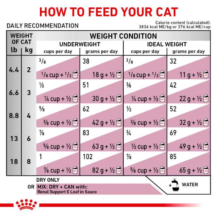 Feline Renal Support Dry Food J134706