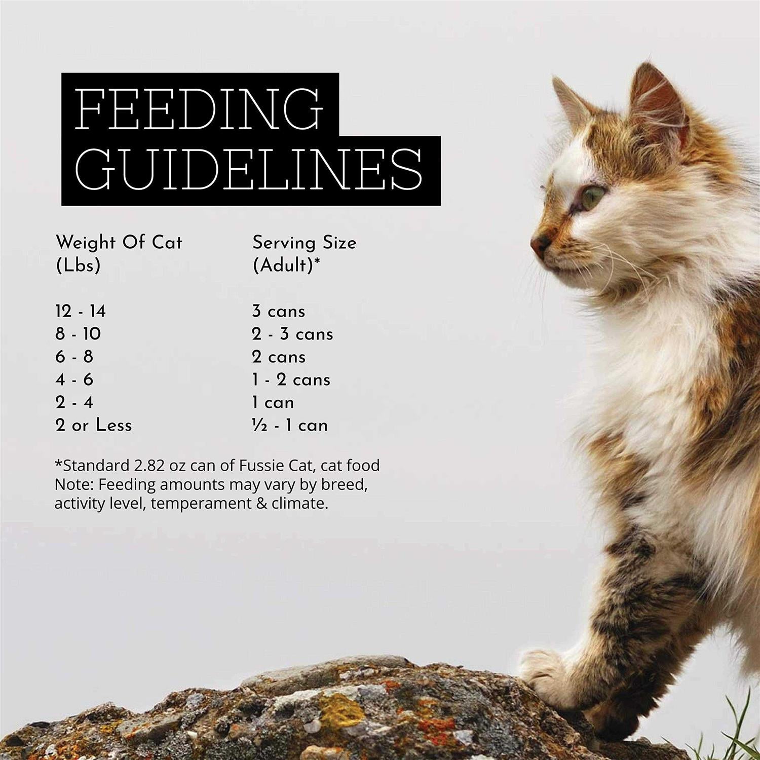 Chicken Gravy Cat Food R572