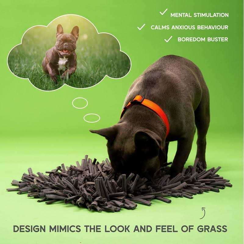 Snuffle Mat for Dogs Feeding Mat G781