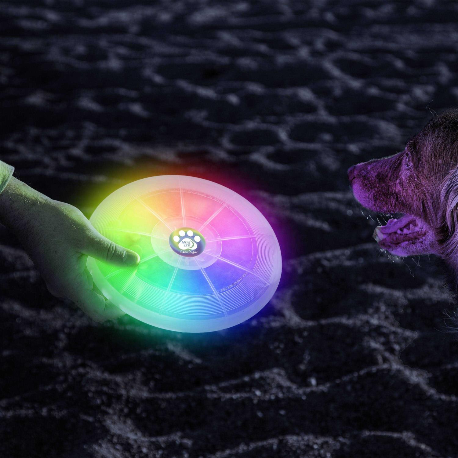 LED Flying Disc for Dogs Y1040