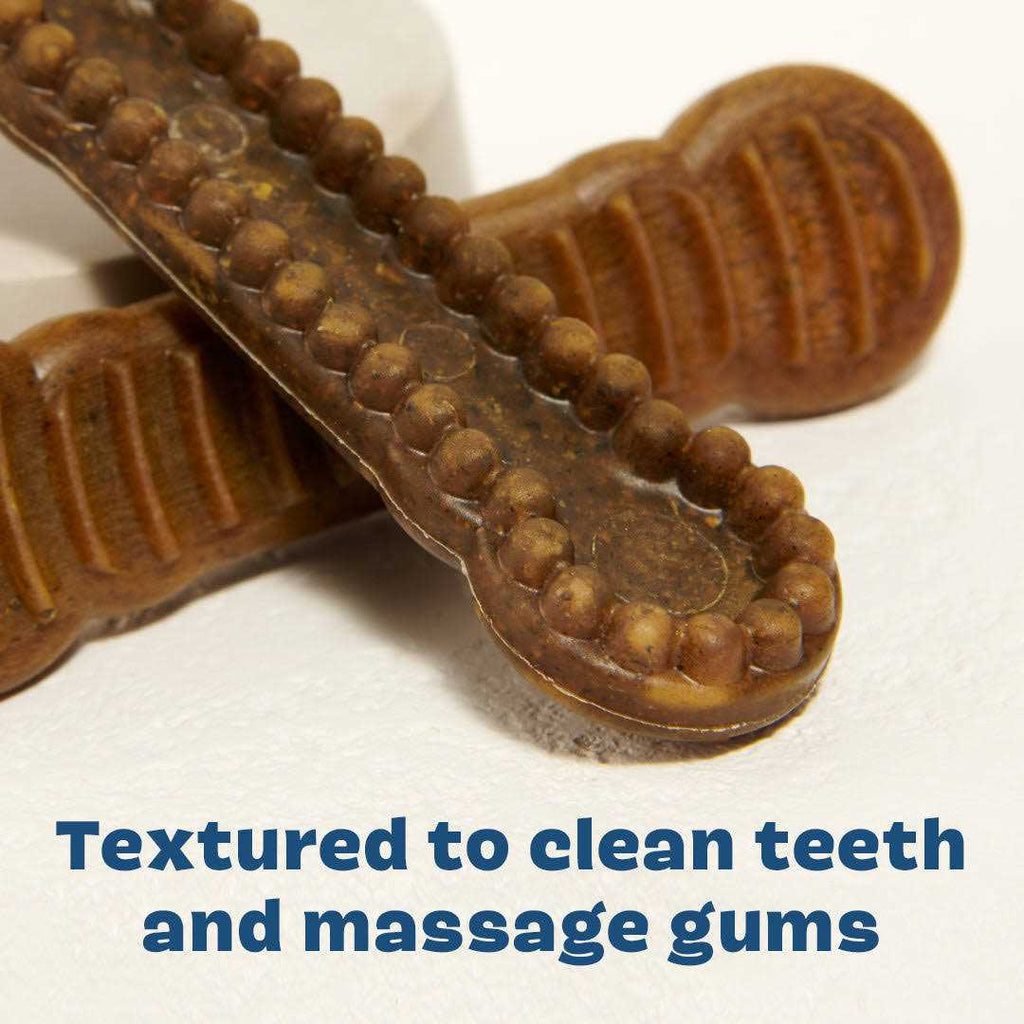 Durable Long Lasting Dog Dental Chews G5573
