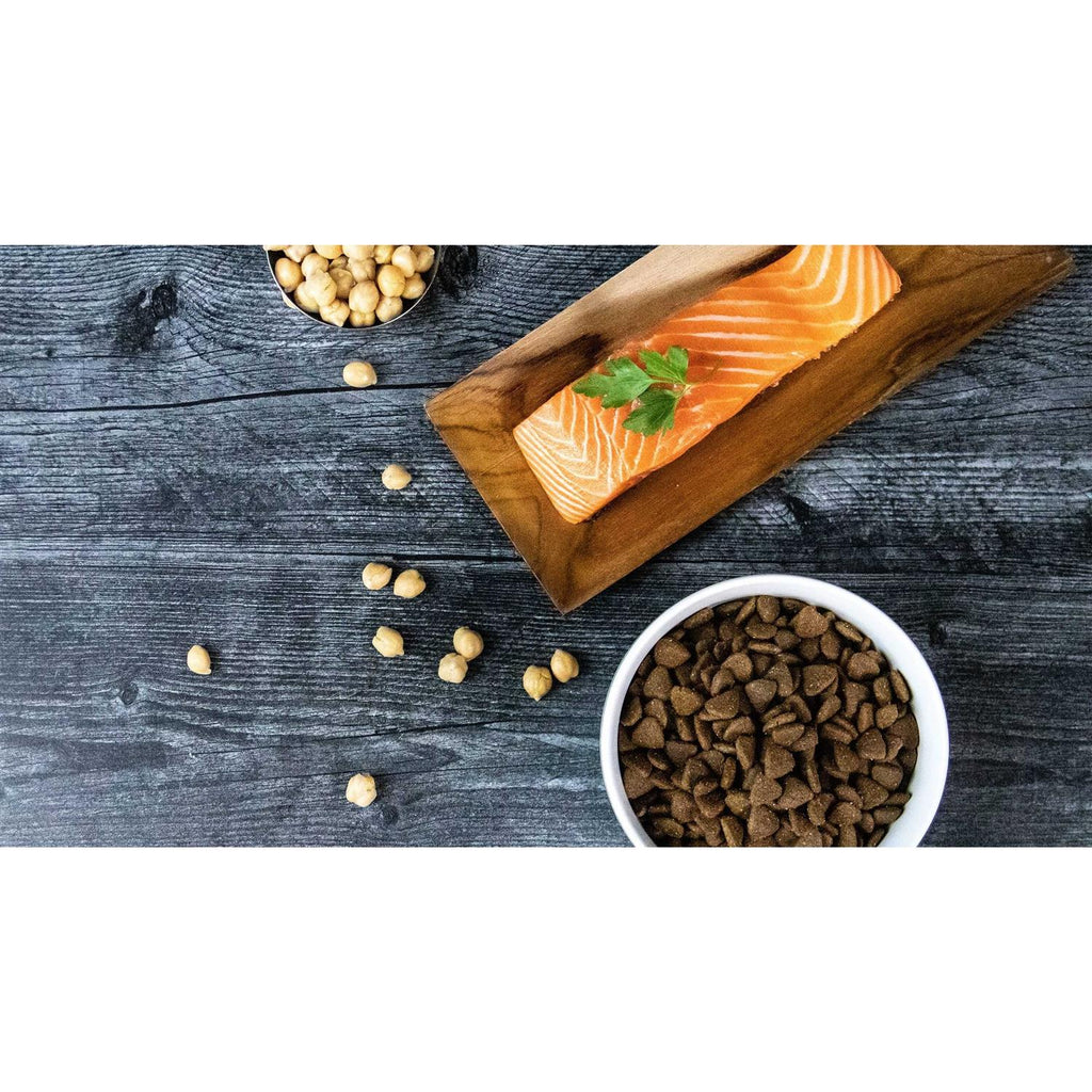 Grain-Free Salmon Recipe Dry Dog Food for Puppy & Adult L8534