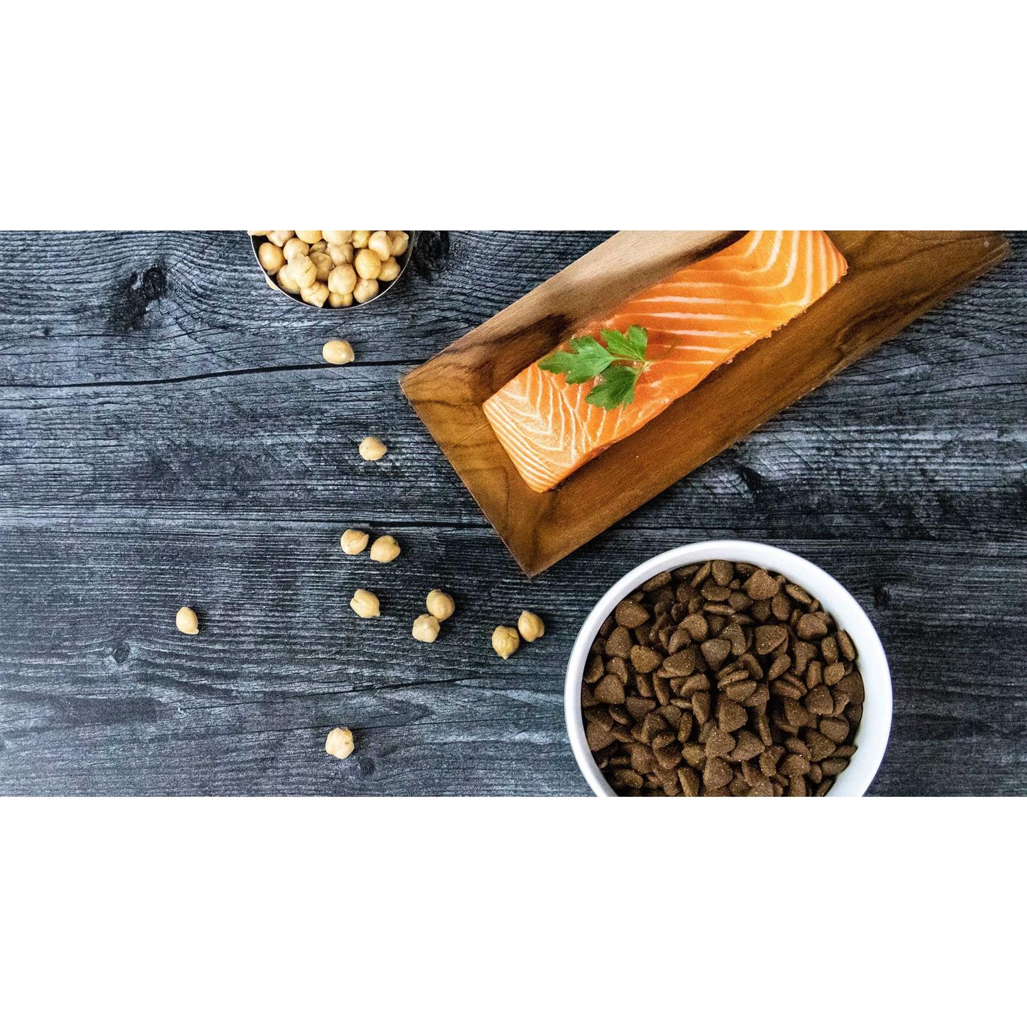 Grain-Free Salmon Recipe Dry Dog Food for Puppy & Adult L8534