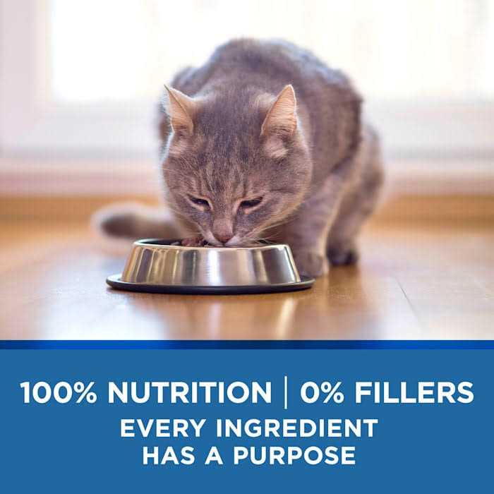 Chicken & Ocean Wet Cat Food for Mature Cats R5038