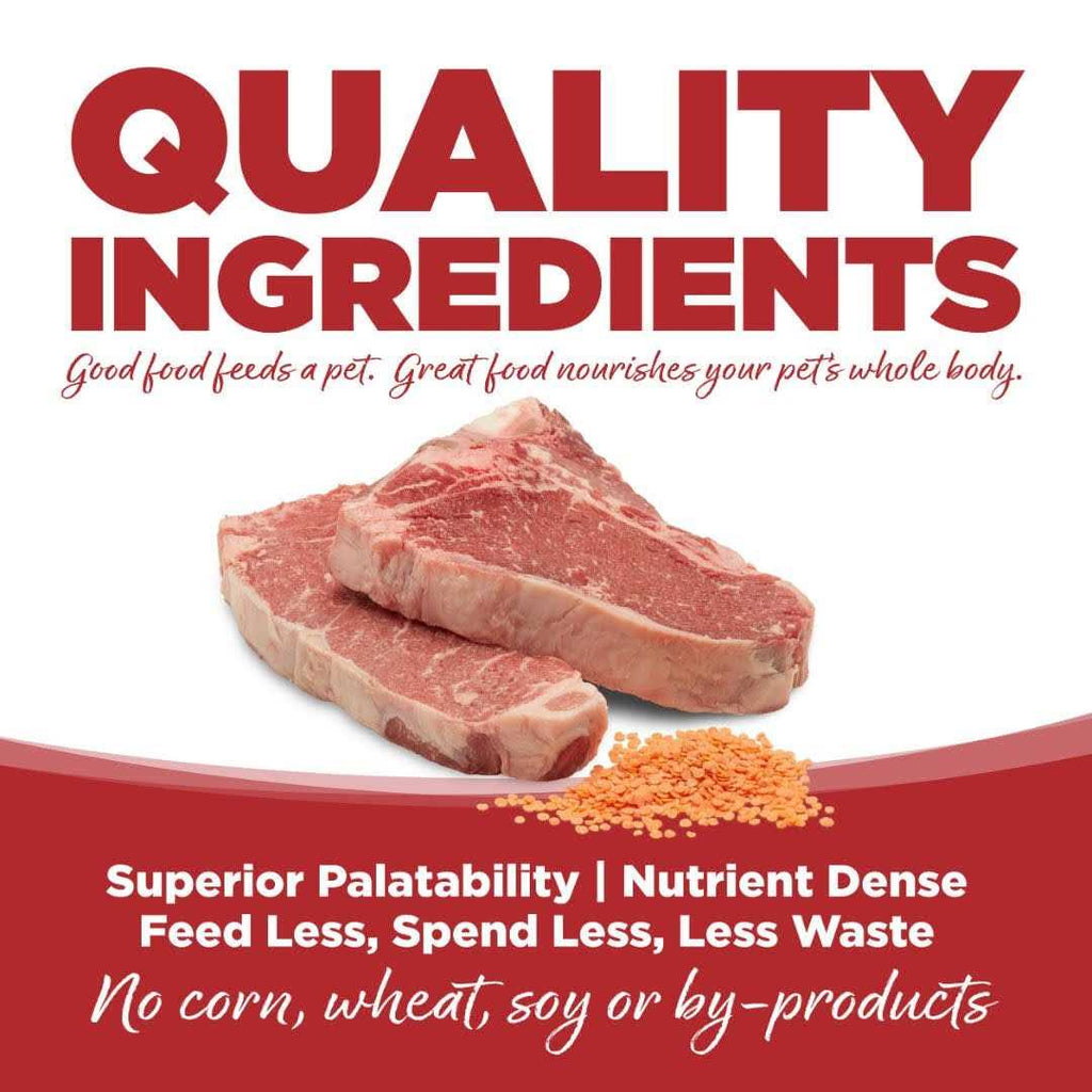 Grain Free Dry Dog Food with Beef and Red Lentils I69596