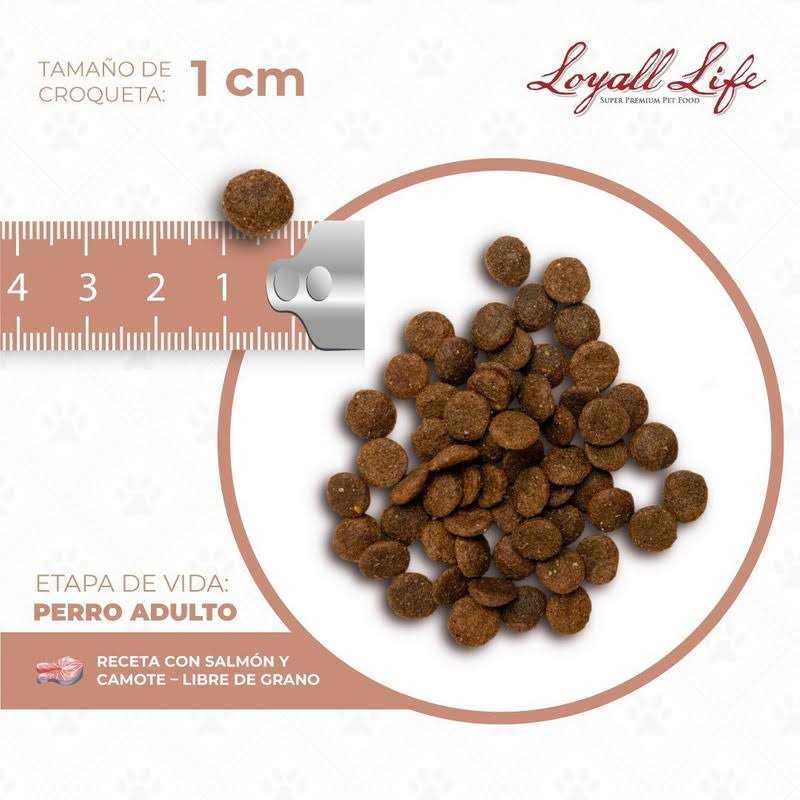 Grain Free Salmon Sweet Potato Dog Food 30 Pounds T24597