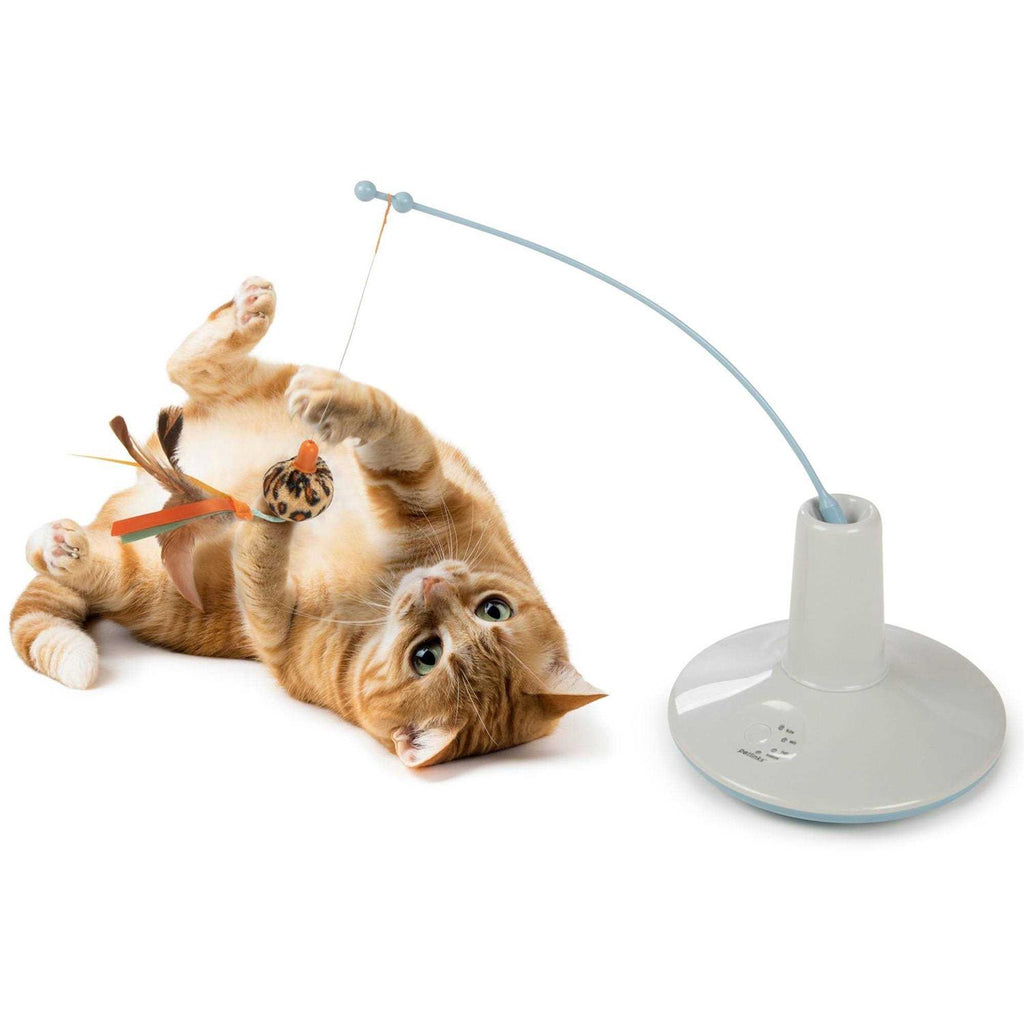Cat Wand Toy P794