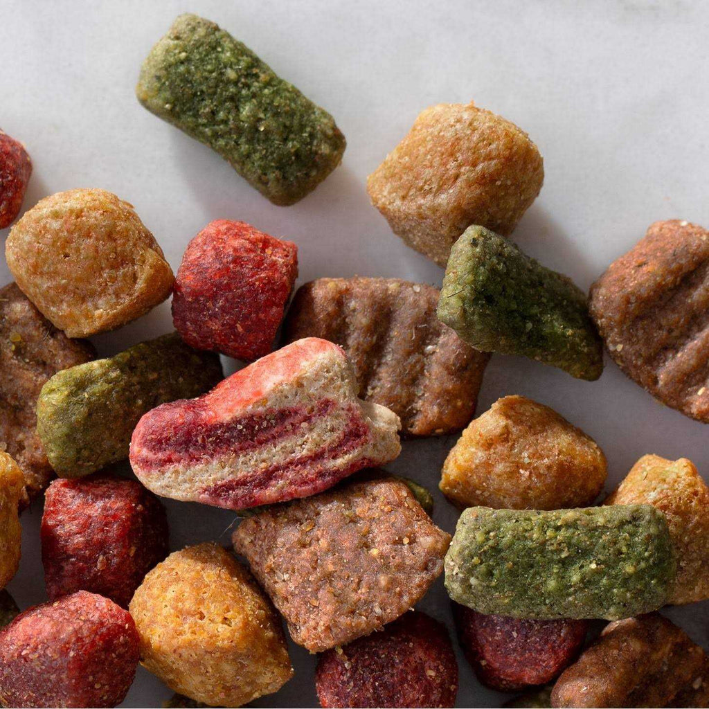 Beef Dog Food Y684250