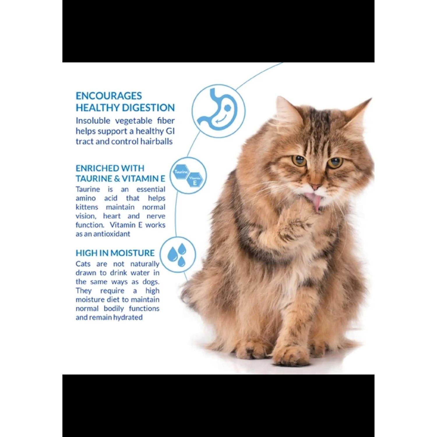 Churu Hairball Control Cat Treat Chicken C8886