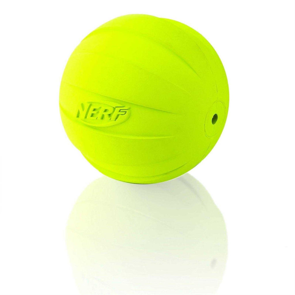 Dog Ball Toy X84513