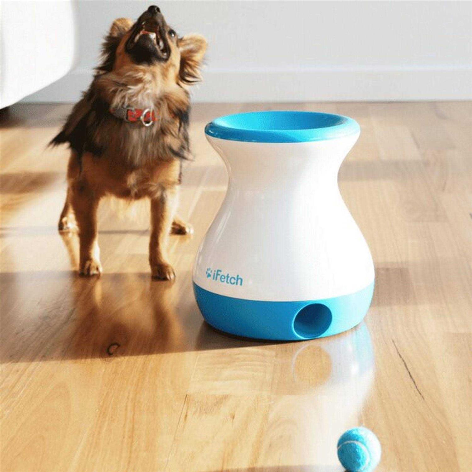 Frenzy Dog Toy F75164